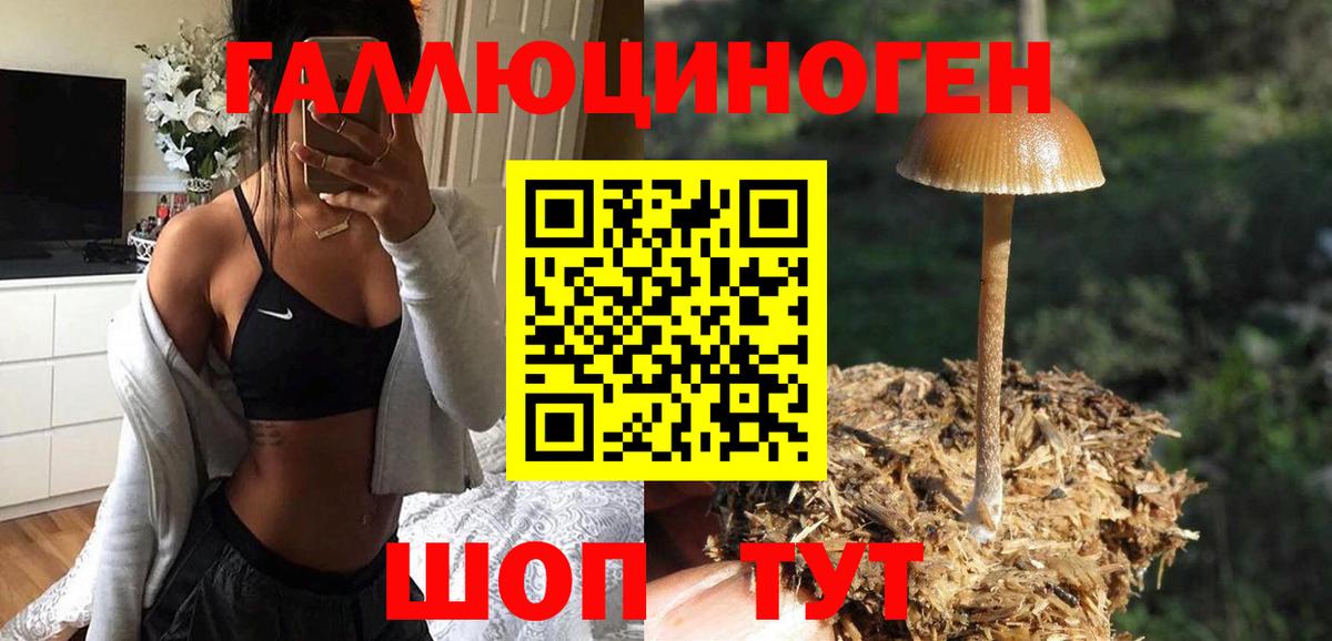 Псилоцибиновые грибы мухоморы  Вход с VPN  Балашиха 