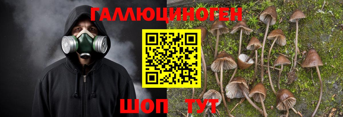 Галлюциногенные грибы мицелий Балашиха